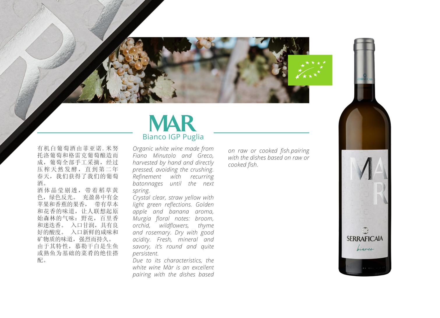 Bottiglia completa Mar Bianco IGP Puglia nella brochure Serraficaia